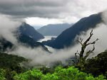 Новая Зеландия: Местный фермер построил новую достопримечательность страны